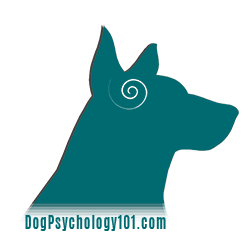 Dog Psychology 101